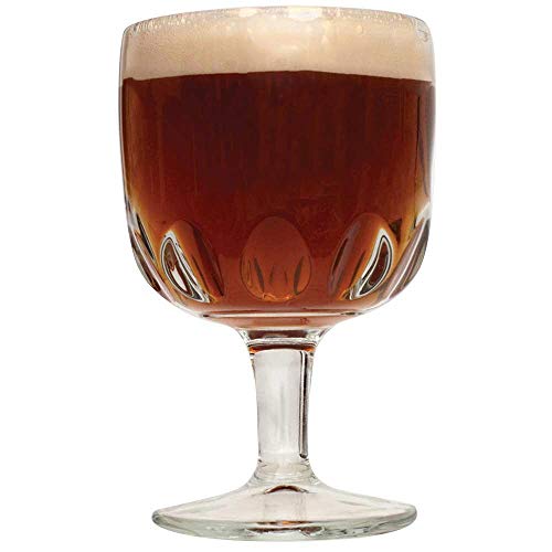 Northern Brewer - Belgian Trappist Dubbel Extract Beer Recipe Kit - Makes 5 Gallons