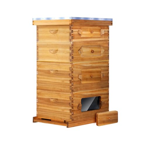 BeeCastle 10 Frame Langstroth Bee Hive with Windows Beeswax Coated Includes Beehive Frames and Waxed Foundations (2 Deep Beehive Boxes & 2 Medium Bee Boxes) - size: 2 Deep & 2 Super Boxes
