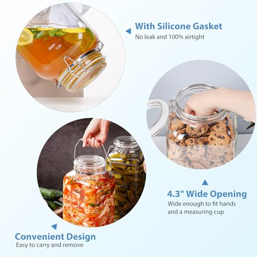2 Gallon Glass Jar with Airtight Lid, 1 Pack Glass Storage Jars with Sturdy Stainless Steel Handle(256 FL Oz), Wide Mouth Jar, Flour Sugar Storage Containers for Rice, Cereals, Oats, Flour