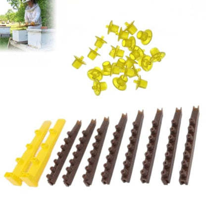 JZBZ Queen Bee Rearing System Queen Bee Rearing Kit Includes 2 Side Bar 4 Divisible Cell Cup Holder and 60 Queen Cell Cup