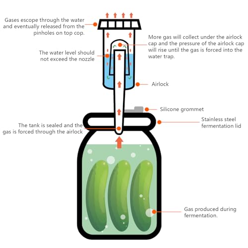 Artcome 32 PC Fermenting Airlock Lids Kit Set - Fermentation Lids for Large Wide Mouth Mason Jars