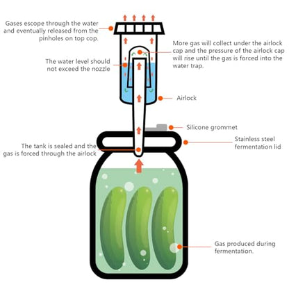Artcome 32 PC Fermenting Airlock Lids Kit Set - Fermentation Lids for Large Wide Mouth Mason Jars
