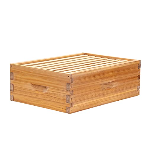 Honey Lake 8 Frame Beehive Medium Super Box, Langstroth Beeswax Coated Bee Hive Super Box with Frames and Waxed Foundations for Beginners Beekeepers (Unassembled)