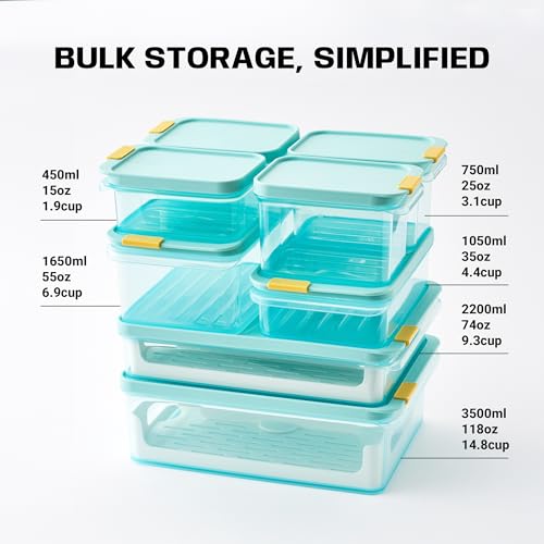 LocknLock Freezer Fit Plastic Freezer Containers | Airtight Stackable Food Storage for Meal Prep | Microwave & Dishwasher Safe | BPA Free Freezer Container with Lid, 450ml - size: 450ml