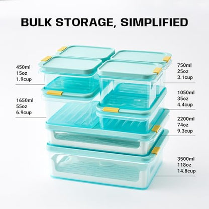 LocknLock Freezer Fit Plastic Freezer Containers | Airtight Stackable Food Storage for Meal Prep | Microwave & Dishwasher Safe | BPA Free Freezer Container with Lid, 450ml - size: 450ml