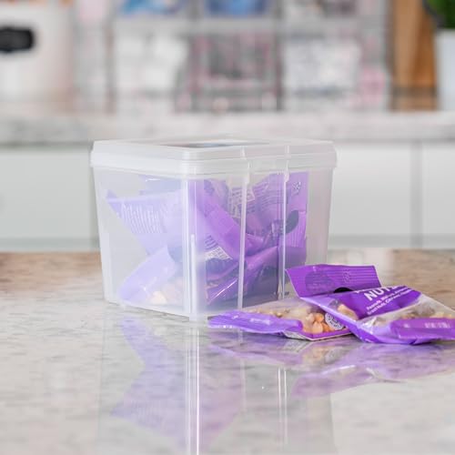 IRIS USA Vertical Storage Bins with Lids |Made in USA| Flip Top Containers for Organizing Pantry, Office, Craft, and Study Supplies - Small (10-Pack) - size: Small - 10 Pack
