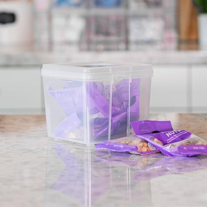 IRIS USA Vertical Storage Bins with Lids |Made in USA| Flip Top Containers for Organizing Pantry, Office, Craft, and Study Supplies - Small (10-Pack) - size: Small - 10 Pack