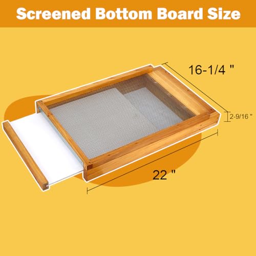 10 Frame Beehive Kit with Screened Bottom Board Dipped in Heavy Beeswax, Bee Hive Boxes Starter Kit for Bee Keekeepers - Langstroth Beehive Kit with 2 Honey Bee Hives Boxes - size: 2-Layer