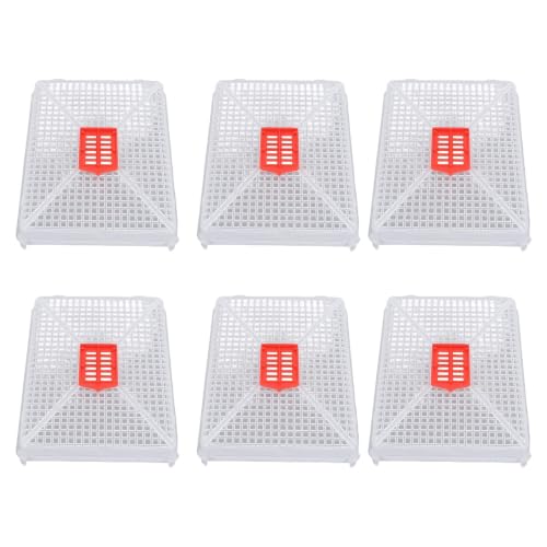 6pcs Plastic Queen Cage Beekeeping Tool Beekeeping Box with Square Buckle Design for Artificial Swarming, Introduction of Queens