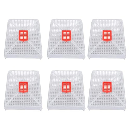6pcs Plastic Queen Cage Beekeeping Tool Beekeeping Box with Square Buckle Design for Artificial Swarming, Introduction of Queens
