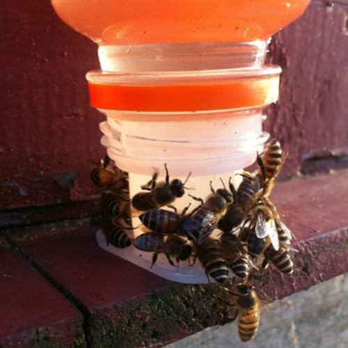 Bee Water Feeder 3 Pcs Plastic Hive Drinking Cup for Beekeeping Supplies for honeybee Hydration Watering Station for Garden Backyard Apiary Outdoor Bee Nesting Box Entrance 27mm White
