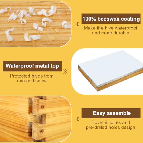 10 Frame Beehive kit with Screened Bottom Board Dipped in Heavy Beeswax Beehive Boxes Starter Kit Includes Beehive Frames and Waxed Foundations (2 Deep Boxes & 1 Medium Box) - size: 3-Layer