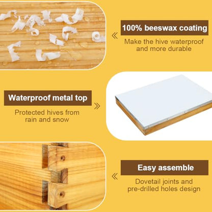 10 Frame Langstroth Beehive Kit Dipped in Beeswax Bee Hives with 2 Deep Bee Box and 1 Medium Bee Hive Box with Frame and Foundation(Unassembled) - size: 3 Layer
