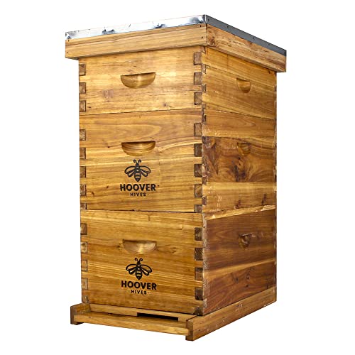 Hoover Hives 8 Frame Langstroth Beehive Dipped in 100% Beeswax Includes Wooden Frames & Waxed Foundations (2 Deep Boxes, 1 Medium Box)(Fully Assembled)