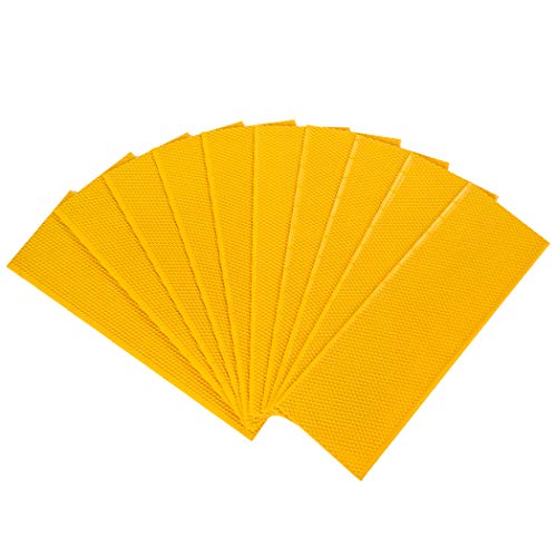 BeeCastle 10pcs Yellow Beehive Frame Beeswax Coated Foundation Sheet,Waxed Foundation Sheets, 5-5/8-Inch Medium Foundation for Beehive Medium Frames - color: Yellow, size: 5-5/8-Inch