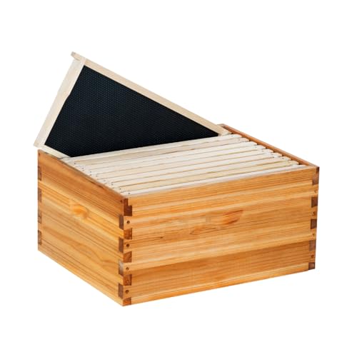 10 Frame Deep Brood Beehive Box Wax Coated Bee Hives Includes Beehive Frames and Waxed Foundations (Unassembled) - size: Brood deep box