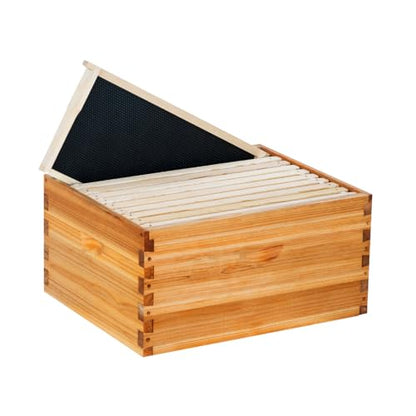 10 Frame Deep Brood Beehive Box Wax Coated Bee Hives Includes Beehive Frames and Waxed Foundations (Unassembled) - size: Brood deep box