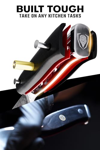 DALSTRONG Slicing Knife - 14 inch - Extra Long Slicer Knife - Shogun Series Elite - Japanese AUS-10V Super Steel - Vacuum Treated - G10 Handle - Carving Slicer BBQ, Brisket Gift Knife- Sheath Included - color: Black, size: 14" Slicer