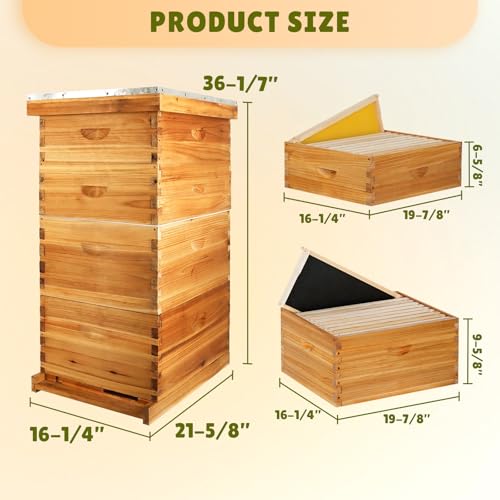 10-Frame Bee Hive Complete Beehive Kit Beeswax Coated Beehive Include Frames and Foundation Sheets for All Beekeeping Levels (2 Deep & 2 Medium Bee Boxes)