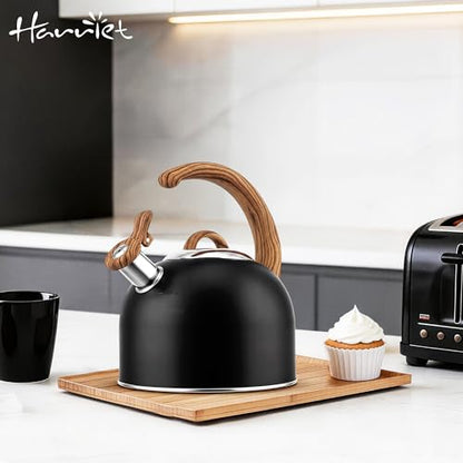 Harriet Tea Kettle Whistling Stovetop Tea Pot, 3.1QT Food Grade Stainless Steel Kettle for Boiling Water Coffee or Milk(Black) - color: Black