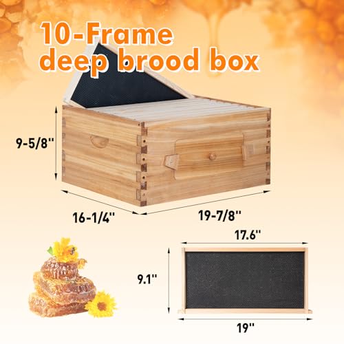 10 Frame Bee Hive Starter Kit with Windows, Beeswax Coated Langstroth Bee Hives Boxes for Beekeepers with Beehive Frames and Waxed Foundations (2 Deep Brood Bee Box & 1 Medium Super Box) - size: 10 Frames 3 Layers