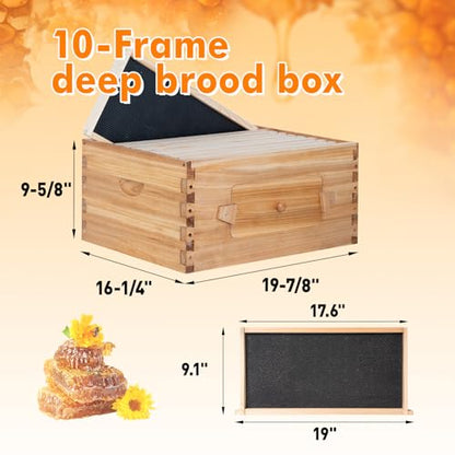 10 Frame Bee Hive Starter Kit with Windows, Beeswax Coated Langstroth Bee Hives Boxes for Beekeepers with Beehive Frames and Waxed Foundations (1 Deep Brood Bee Box & 1 Medium Super Box) - size: 10 Frames 2 Layers