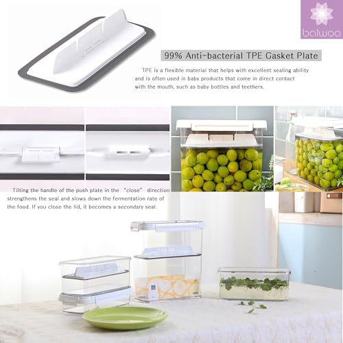 Pickle keeper Press Plate Food Storage Container Organizer for Kimchi Sauerkraut Fermentaion Airtight Lid Locking for Preserved Food (4000ml / 1 gal) - size: 4000ml / 1 gal