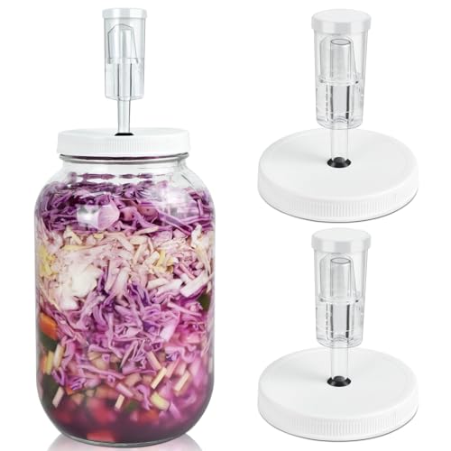 Artcome 10 PC Airtight 1 Gallon Fermentation Lid with Airlock - Transform Gallon Jar Into a Fermenter - Perfect for Pickles, Hard Kombucha, Beer, Wine, Cider - Gallon Lid with Econolock Airlock - size: 2 airlocks + lids