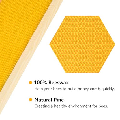 BeeTech 10-Pack Medium Super Box Wooden Beehive Frames and Beeswax Dipped Plastic Foundations for Beekeeping (Unassembled) - size: medium frames