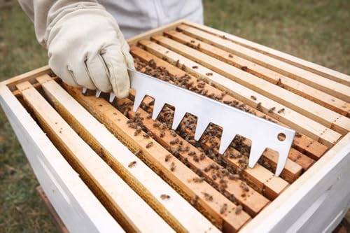 Zerodis Beehive Frame Strip, Stainless Steel Strips Bee Box Spacing Tool for Spacing Bee Frames Evenly in a 10 Frame Honey Super Box