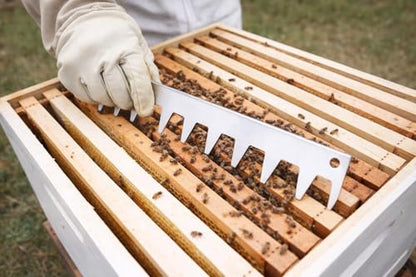 Zerodis Beehive Frame Strip, Stainless Steel Strips Bee Box Spacing Tool for Spacing Bee Frames Evenly in a 10 Frame Honey Super Box