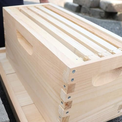 Stoney Acres Beekeeping Deep Nuc Box, Assembled Super or Brood Box with Plastic Foundation Frames for 5 Frame Honeybee Hives, Amish Made