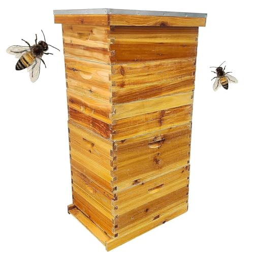 5 Layer Langstroth Beehive Dipped in 100% Beeswax Coated Bee Hive Includes 2 Deep Hive Bee Box & 3 Super Bee Hive Without Frames