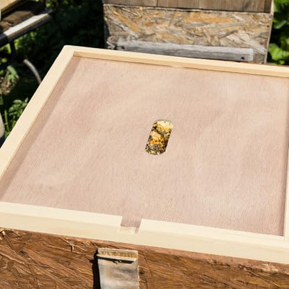 DoubleFill 2 Pcs 8 Frame Bee Hive Inner Cover for Hive Box Cover with Feeding Hole Beehive Frames Insulation Ventilation Inner Cover for Beekeeping Tool