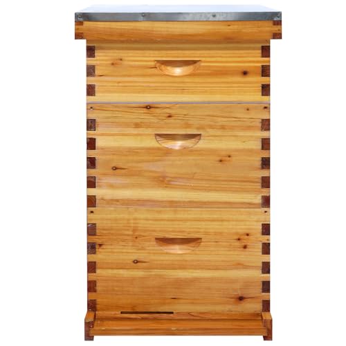 Langstroth 10 Frame Beehive Beeswax Coated, Complete Bee Hive Boxes Starter Kit Includes 2 Deep Hive Boxes and 1 Super Hive Box with Bee Frames and Foundations - size: 3-Layer