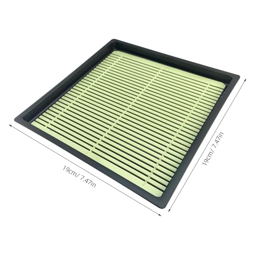 Plastic Pasta Bowl: Japanese Noodle Plate - Sushi Serving Tray With Removable Drainboard - For Udon Cold Noodle Sushi Fruits Dinner Housewarming (Square)