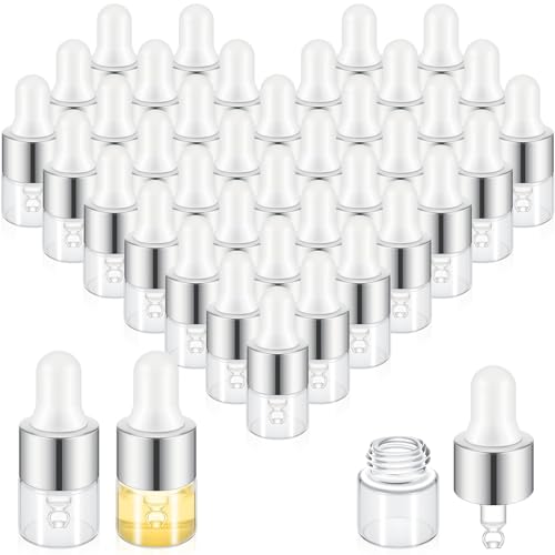 Didaey 200 Pcs 1/2/3/5/10/15 ml Mini Glass Oil Dropper Bottle Bulk, Clear Essential Small Empty Bottles Sample Containers Perfume Liquid Vials with Cap for Traveling (1 ml,Classic Silver) - color: Classic Silver, size: 1 ml