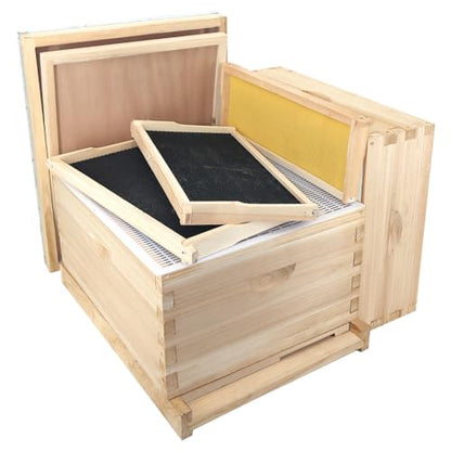 POLLIBEE 10 Frame Langstroth Beehives,Bee Keeping Starter Kit Includes 1 Deep Box & 1 Medium Box with Beehive Frames and Foundations,Complete Beehive Kit for Beekeeper - size: 1 Super+1 Deep