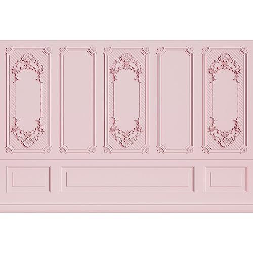 Leyiyi 6x4ft Light Pink Vintage Room Inside Backdrop European Frame Modern House French Castle Cementery Wall Retro Style Photo Background Cowboy Kids Birthday Vinyl Portrait Photo Studio Props - color: Pink, size: 6x4ft