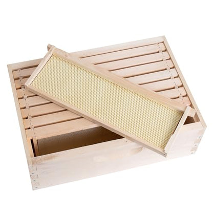 Lehman's Stoney Acres Beekeeping Beehive Box, 8 Frame Medium Assembled Super or Brood Honeybee Hive Box with Plastic Foundation Frames, Amish Made