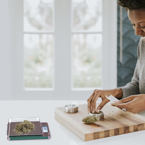 Fuzion Digital Scale .01 Gram Accuracy, 500g Mini Food Scales for Small Jewelry, Gold, Herb, Spice - Weight Gram and Oz - color: Ombré Purple-Green