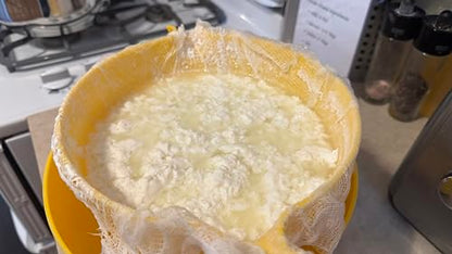 3 pcs Medium Cheese Mold for Cheese Making 1/2 qt - Soft Cheese Molds - Homemade Cheese Making Supplies - Moldes Para Queso Fresco o Panela Casero. White (Marshmallow White) - color: Snow White