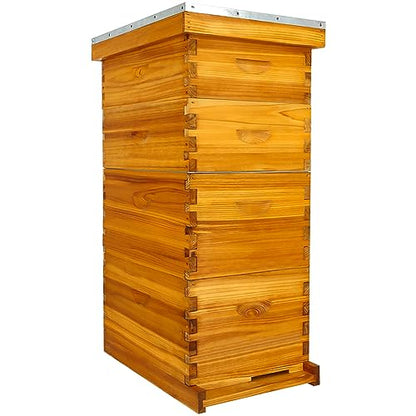 Honey Lake 8 Frame Bee Hive Dipped in Beeswax, Langstroth Complete Beehives Starter Kit Includes 2 Deep Brood Box and 2 Medium Super Box with Beehive Frames and Waxed Foundation Sheet