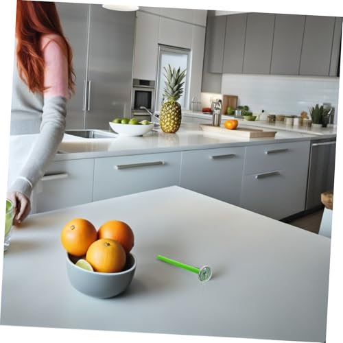 Stainless Steel Meat Probe Thermometer Oven Safe Instant Read for Cooking Kitchen Thermometer Cheese Making Tool