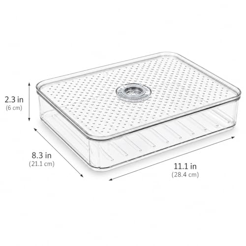 2 Layers Cheese Lunch Meat Storage Container for Fridge,Deli Food Storage Container with Lids,Refrigerator Organizers and Storage for Cheese,Cold Cuts, Bacon,Ham,Sandwich Meat Keeper