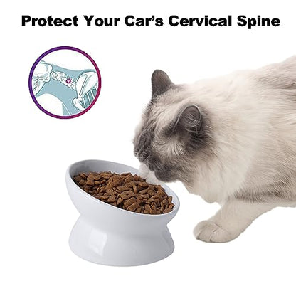 Elevated Ceramic Cat Bowl, 15° Tilted Raised Food & Water Dishes, Anti-Vomiting & Neck Protection Pet Feeder for Kittens, Small Dogs (5.2", White, 2pc Set) - color: White, size: 5Inch-2pc