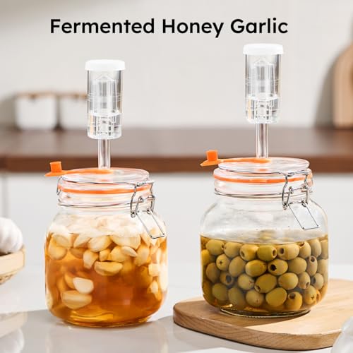 JILLMO 1 Liter Fermentation Jar, Square Glass Fermenting Kit for Making Sauerkraut, Hot Sauce, Mead, Cider and More, Pack of 2