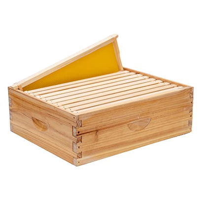 Honey Lake 10 Frame Medium Super Bee Hive Box, Langstroth Beehive Super Honey Bee Box Dipped in Beeswax Include Beehive Frames and Waxed Foundations for Beginners Beekeepers (Unassembled) - size: 10-Frame Medium
