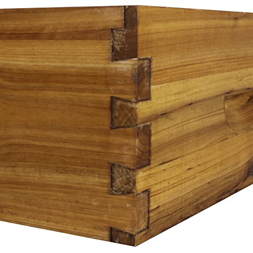 8 Frame Hoover Hives Wax-Coated Medium Honey Super Box
