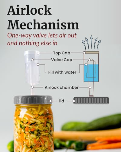Elementi Fermentation Weights Kit - Set of 2 Glass Fermenting Weights and Mason Jar Fermentation Lids for Wide Mouth Mason Jars - Sauerkraut and Pickling Kit - style: Kit - Set of 2 Weights & Grey Lids
